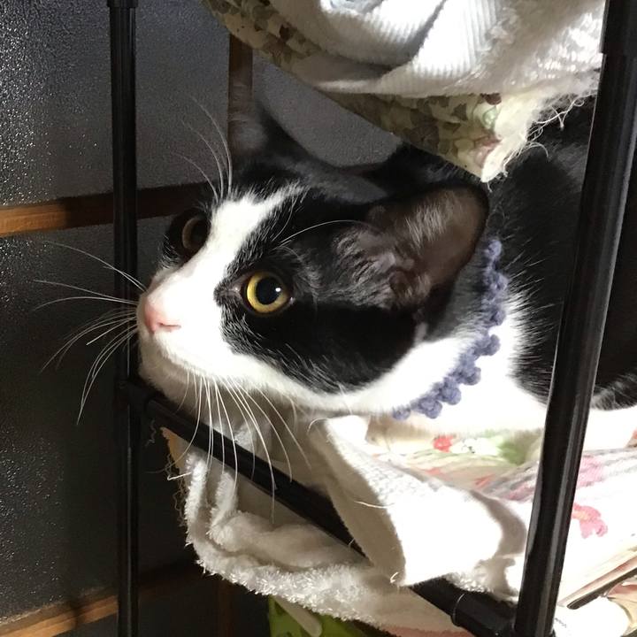 Ed4a7614 31d2 455b 841d 0cc06099f9c8 1640300062273