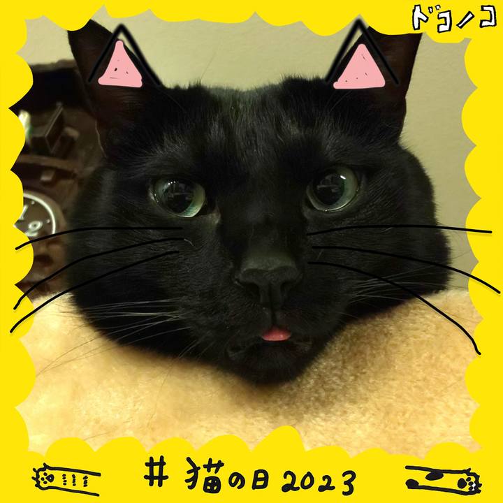 Ed4a7b02 fdf9 4ef1 82ae 444b9518795a 1677062493557