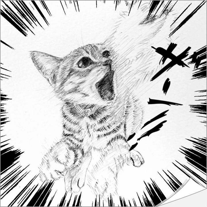 Ed4a8730 9ec5 44ef 80a6 d2f7b886d322 1544622830058