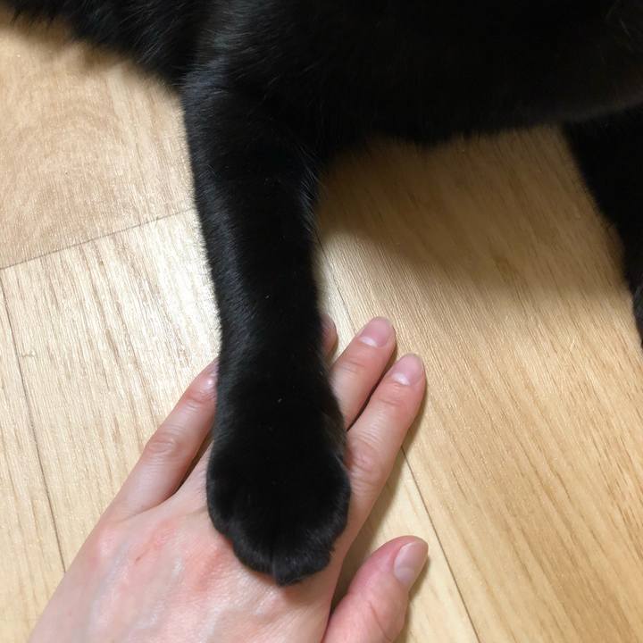 Ed4a876d 64d6 401e 9fff f042bd6130fc 1527938617047