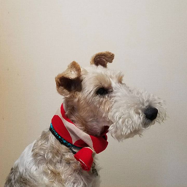 Ed4aafaf 58eb 4b2d aae2 a3b4ecfddc6c 1531178997693