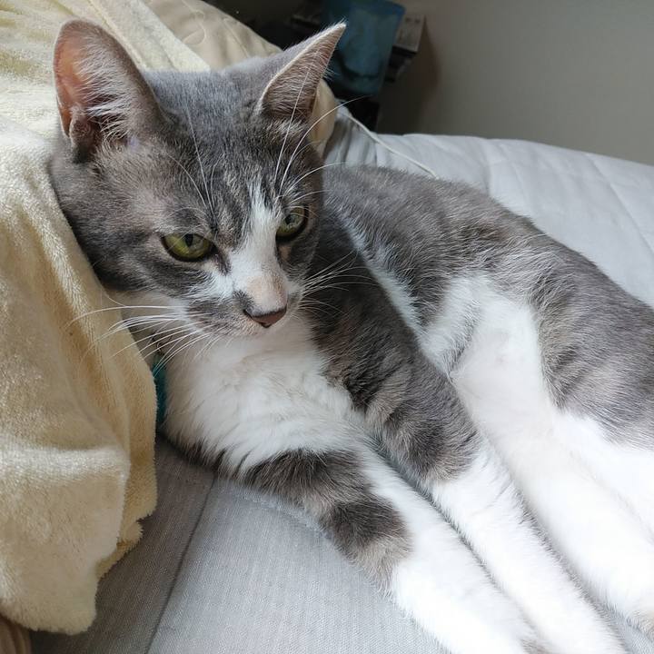 Ed4abaf5 b591 46ce 8758 811905112b64 1594941122628