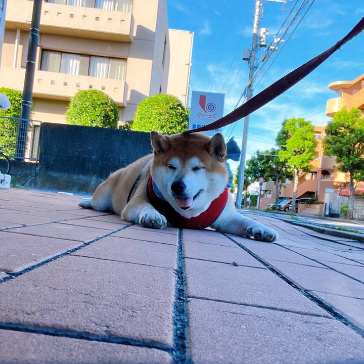 Ed4b030f 3b1d 4e01 9904 51db10e3430f 1722292643747