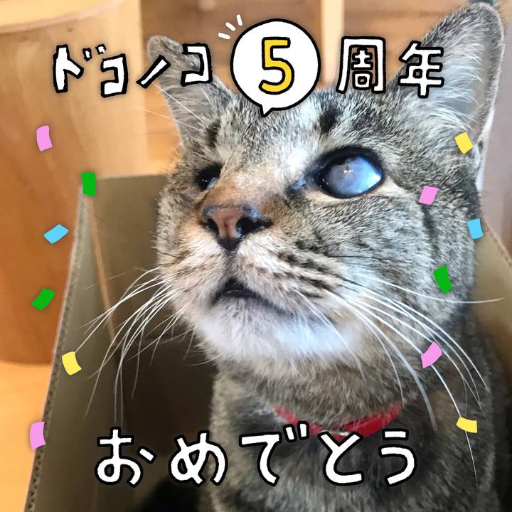 Ed4b2e84 9ef9 494c a9f8 7094736ff816 1622979516535