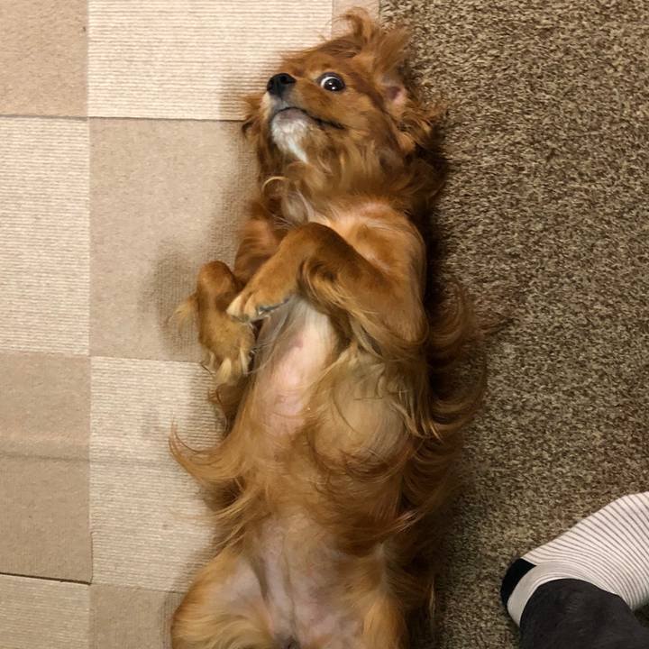 Ed4b3c78 a05d 42f0 84e1 3e7afcd1eb3a 1591741031760