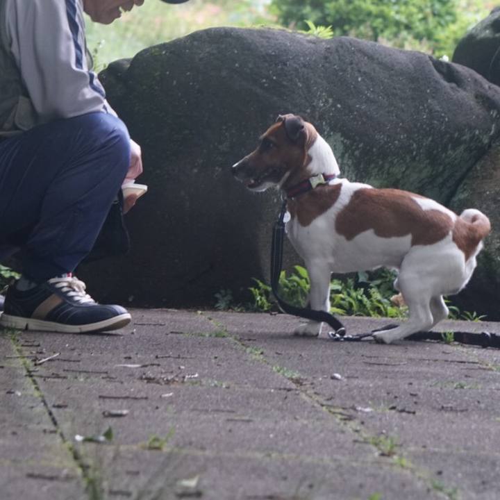 Ed4b647a ec17 4c23 960f 1853b53804eb 1527202534331