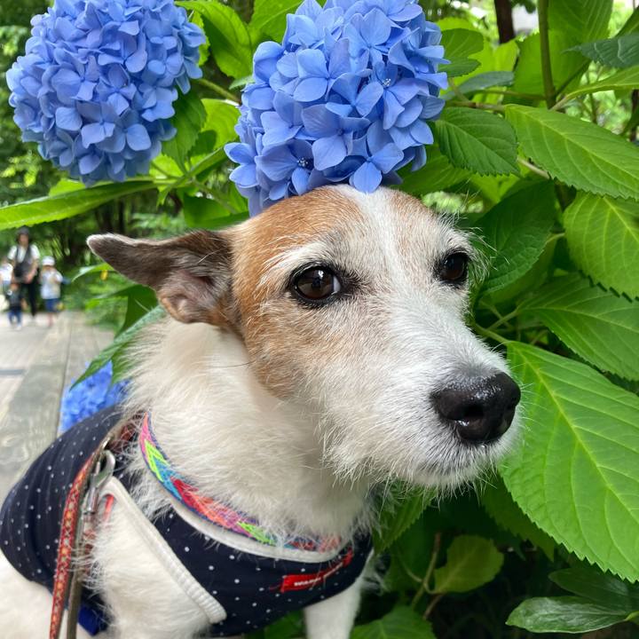 Ed4b85c9 3739 438b b18d 4c5b8445df2e 1718321001569