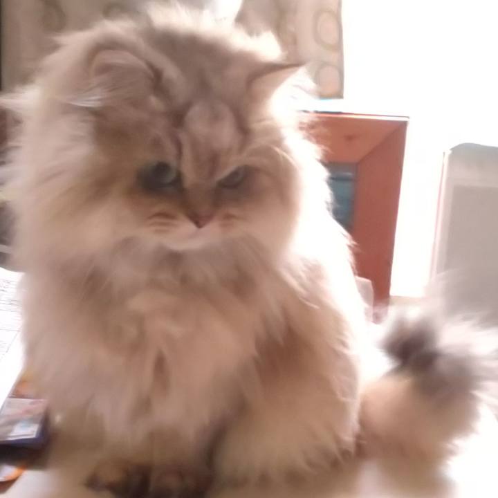 Ed4bbc8c be65 4847 b892 5c9572253424 1606031310439