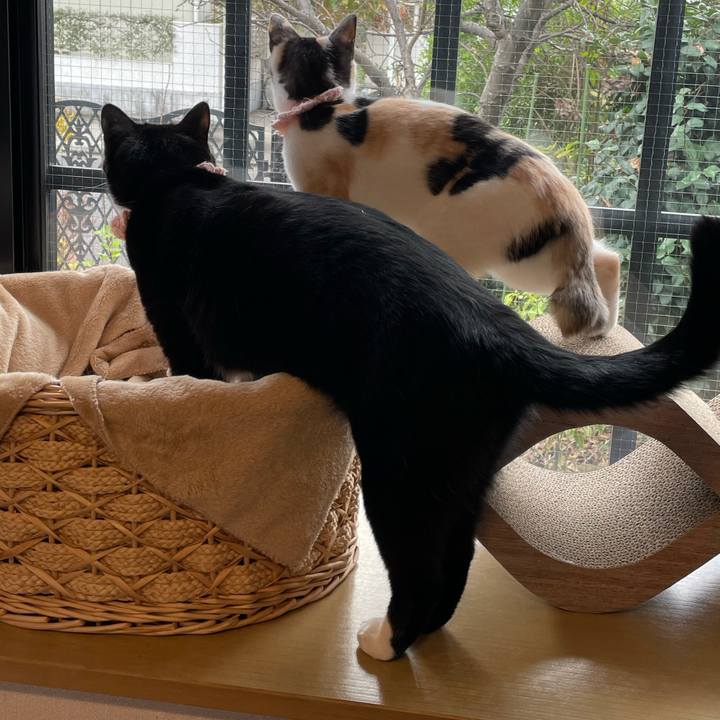 Ed4c0a32 8448 493a 90d0 3ad94ccb830c 1667605247419