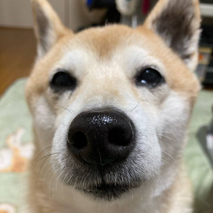 Ed4c3b52 89ad 47de 9f65 80842f5b60e3 1639916355955