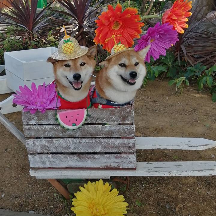 Ed4c5a2c 16bb 4570 a7a8 fbead3084a3e 1690304492044