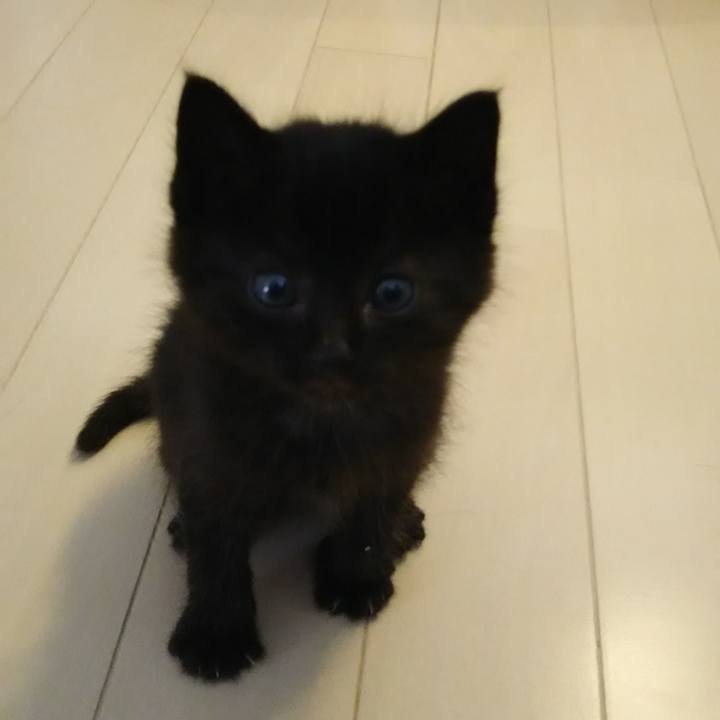 Ed4c779e 9916 4e56 9670 7a6b3aba28d8 1654660478388