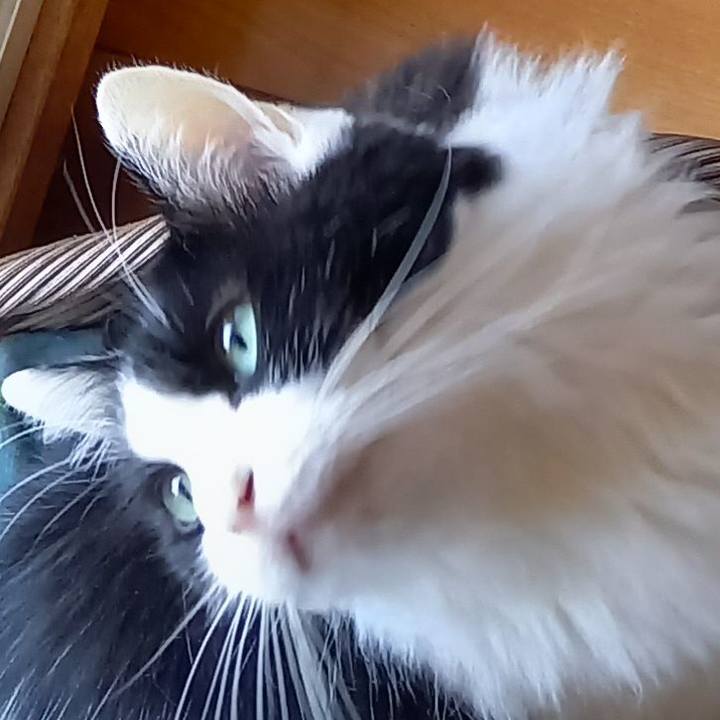 Ed4ca114 039f 408b a179 4f965605891e 1670675160290