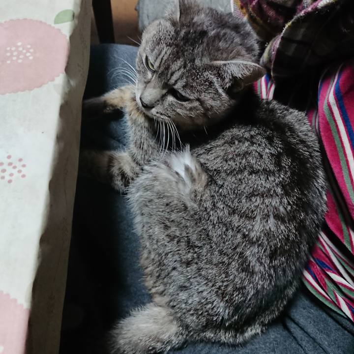 Ed4cb1e1 991a 4a4a a48e 7b3f714405f8 1578900726568