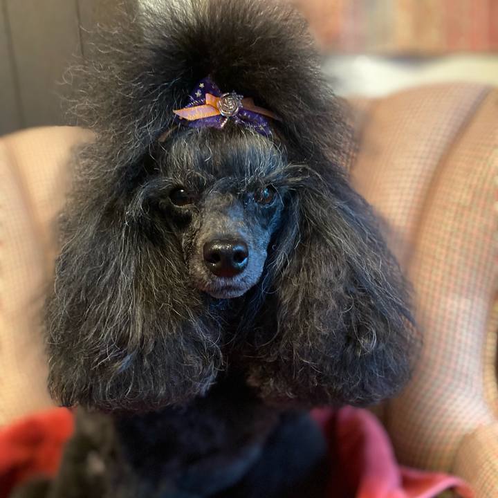 Ed4ce2e9 8cb5 42a0 8646 fadc6129cebd 1665544124031