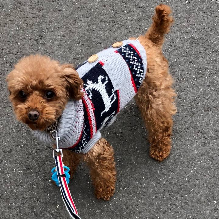 Ed4d0c20 f68b 4755 b7ee 84261746c114 1549866914979