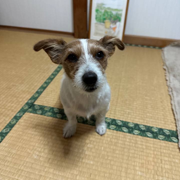 Ed4d122d aab5 41b1 92cf f92b222fd984 1764021734322