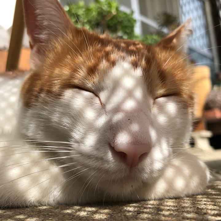 Ed4d14a8 47d9 4bbd 8540 cec655c1ce65 1539406928452