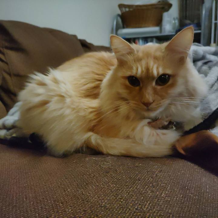 Ed4d21cb 4346 46e8 a53e 0e0d1a81d9b1 1705274351293