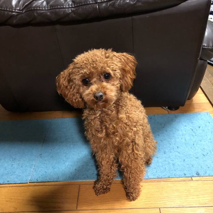 Ed4d2438 382f 4b19 b534 18a0b4dd2904 1517099247976