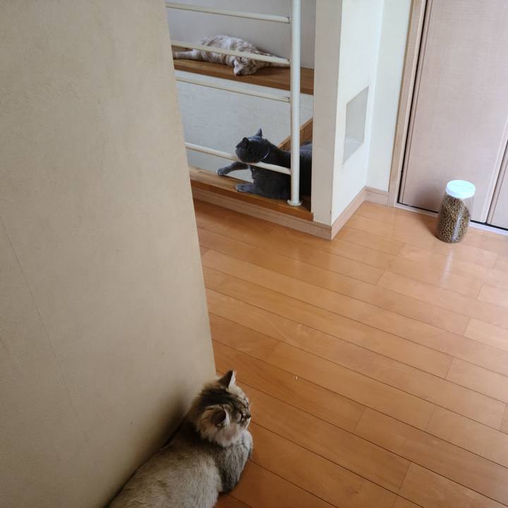 Ed4d5acb 2baf 46c0 a005 bf8894c6b8f5 1626015719013