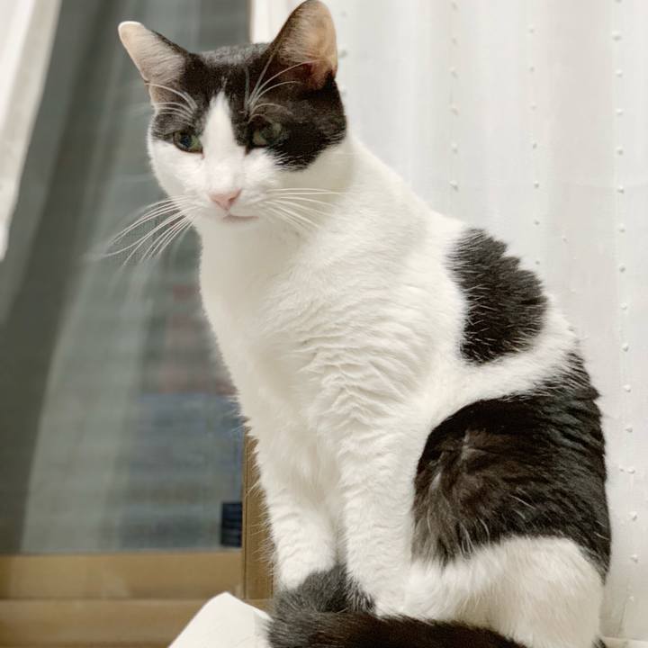 Ed4d6318 47bd 4215 b9a7 7037d4cf0e0e 1540432892632