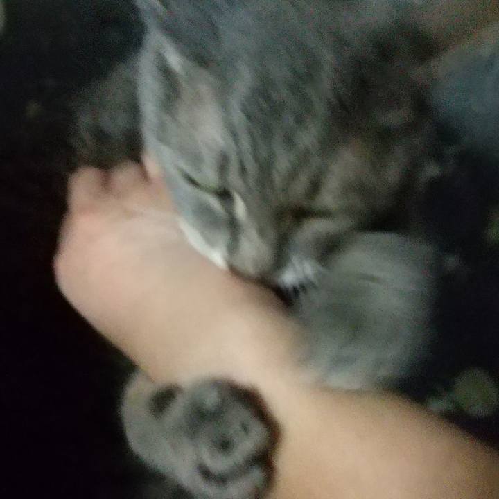 Ed4d63ab 00e4 465d 81b9 a00344263c7b 1665657310056