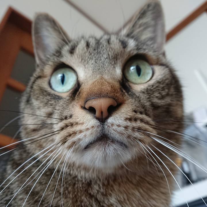 Ed4d7474 7168 4a13 bbb3 dee80f4b726a 1611282422579