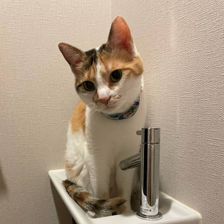 Ed4db24b d972 4b78 bd39 0752507c5aae 1719664874776