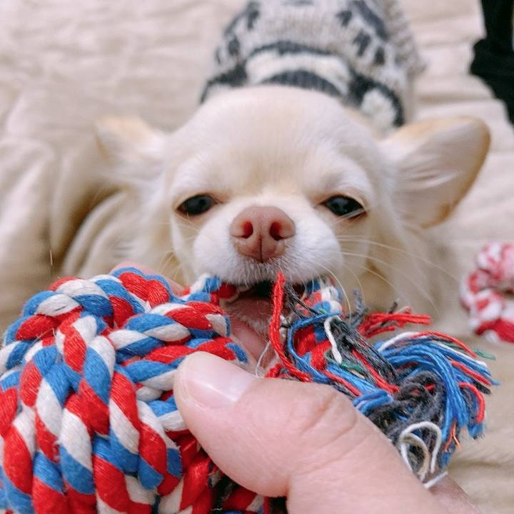 Ed4dc00a 4eec 49b7 864b 08f40167deba 1611469096771