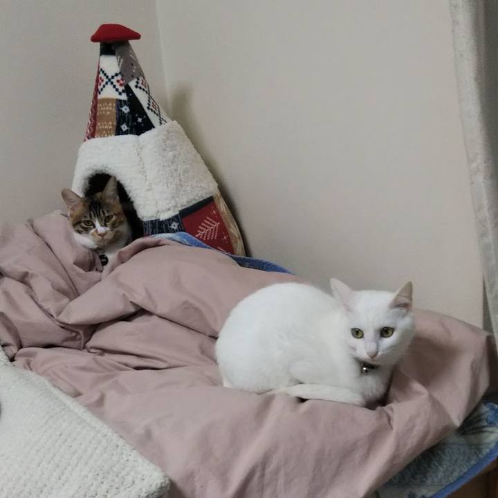 Ed4de30f 7d4d 45b6 ac30 561201b86746 1641939188399