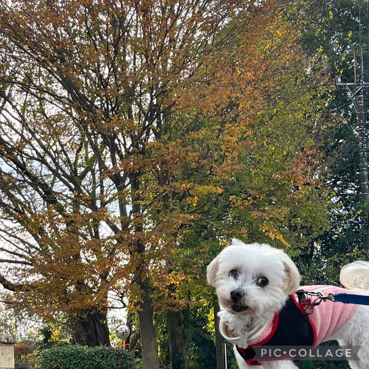 Ed4de80e 98ca 434a 86a8 44aeb5d0fe29 1733289945483