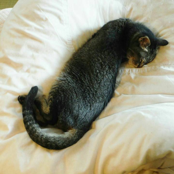 Ed4e11f2 3453 4204 b2a9 997a7347f90f 1564031371007