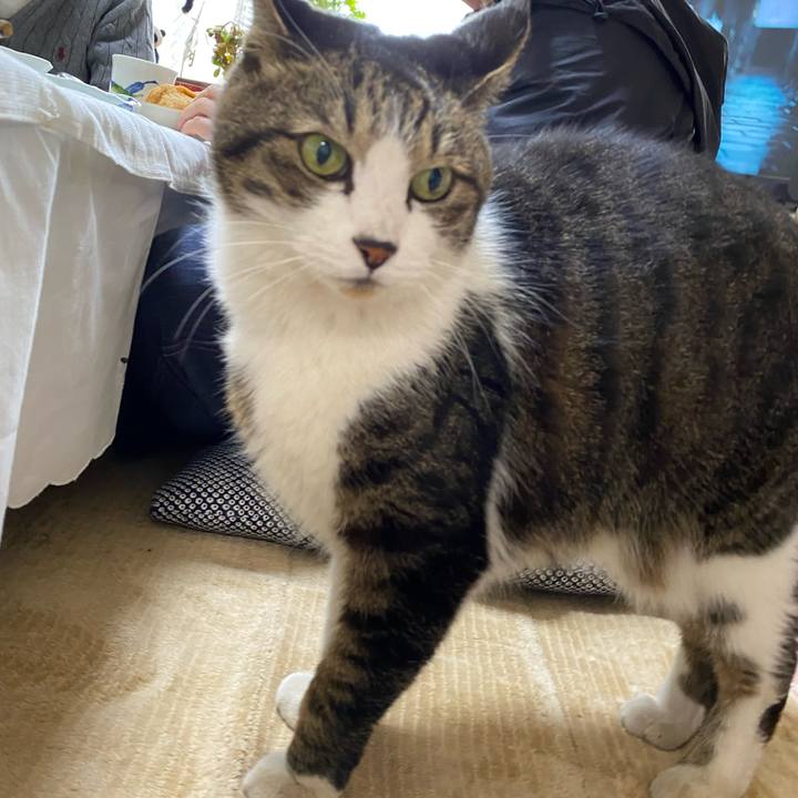 Ed4e5056 9d2d 4ede 82f5 186948ce8e13 1704263324985