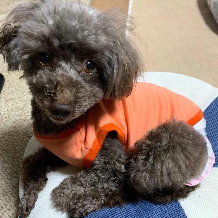 Ed4e5d3b c8f9 4636 b050 7c07b93471d9 1574932176631