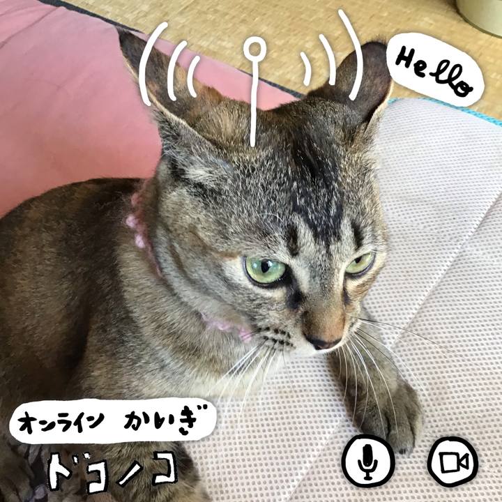 Ed4ea1d0 7e3b 47f0 a778 fb8f9d0a3113 1590712959501