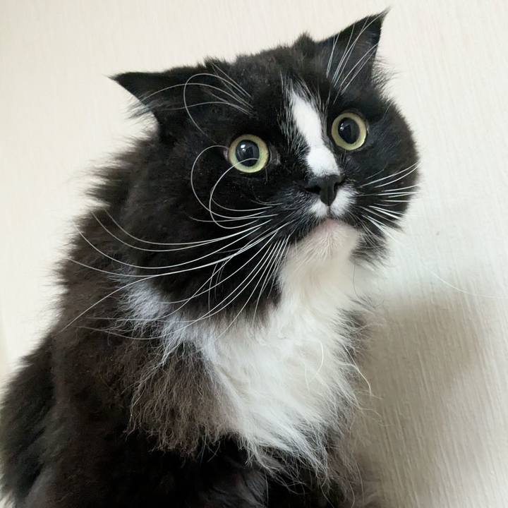 Ed4ed024 2120 42dd ac55 e786f888a836 1741002754595