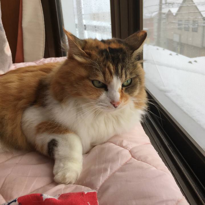 Ed4ee160 1807 4630 ad4f 9481f6fe8338 1608017372232