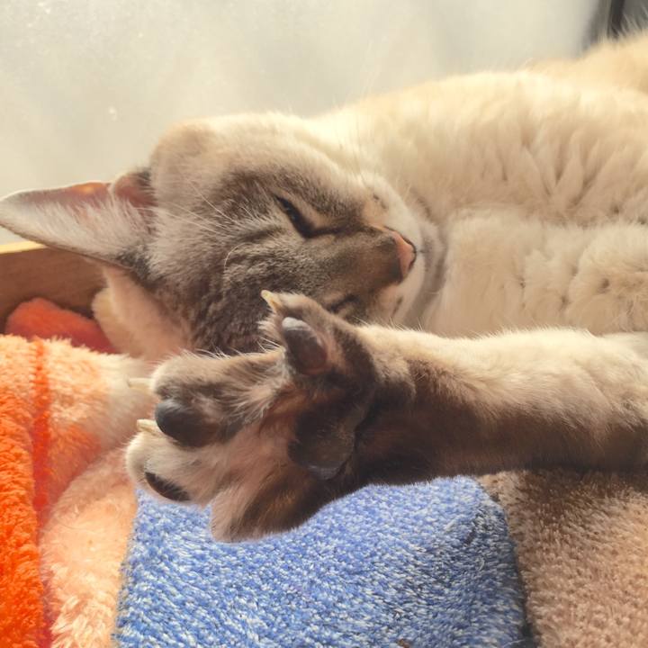 Ed4eeb7f e89f 40b1 92a3 bfeb9c8c553b 1580788203377