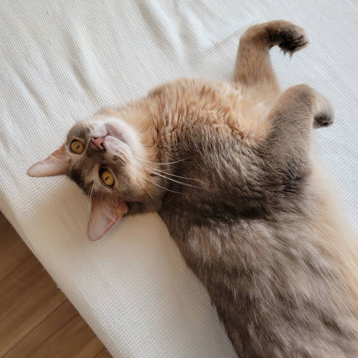 Ed4f2fe0 7426 4634 b34b 3b7b3cd76ec9 1633742864837