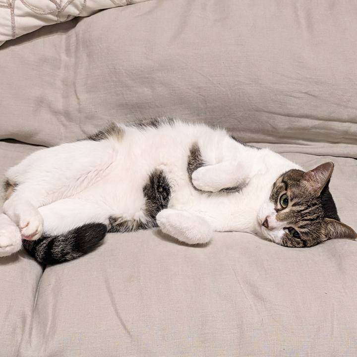 Ed4f34c5 4ae1 42c2 b3a7 181f40100671 1758495056090