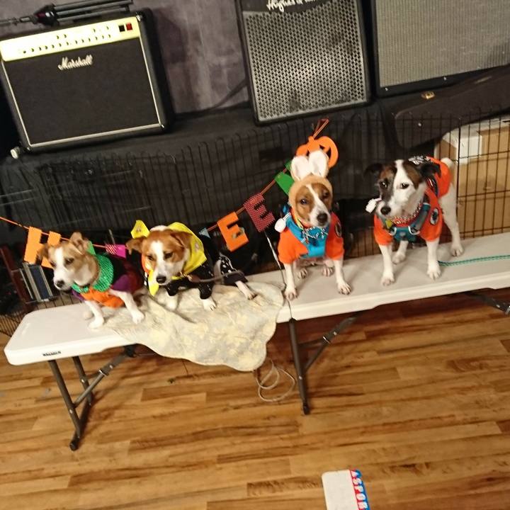 Ed4f4400 fd30 41f7 ac02 b416d4aeabd8 1572176651697