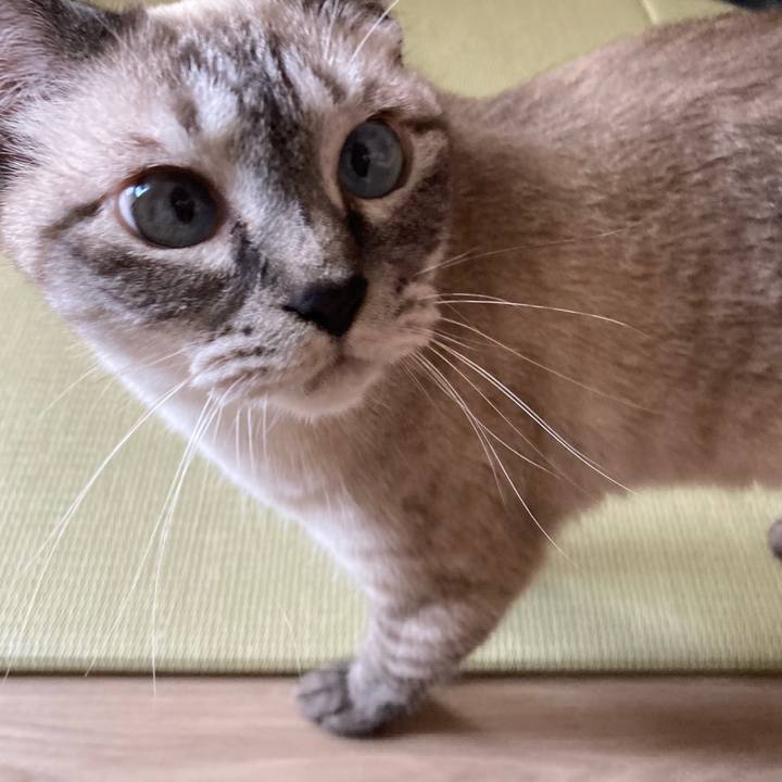 Ed4f6086 2d40 4b09 9e52 992d28190ced 1721894808671