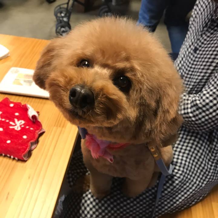 Ed4f6f51 2811 4a69 9628 df2625e8953e 1549896664459