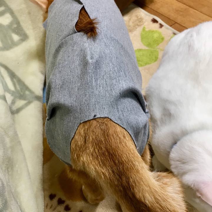 Ed4f79e6 3c40 4daa 98ae 571bcdcd6d25 1521731299590