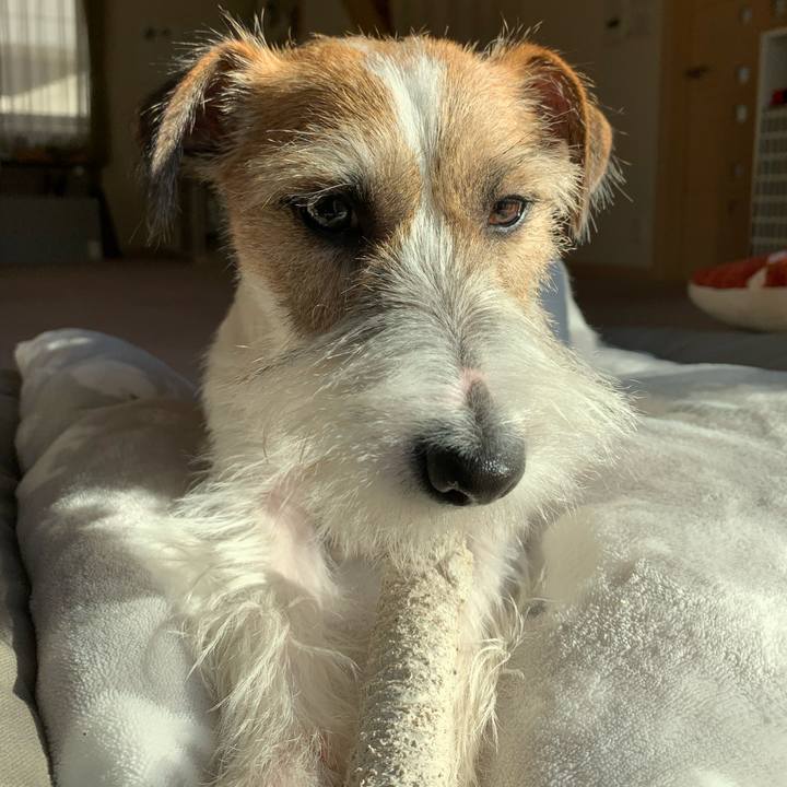 Ed4faa4e 0ceb 4c50 99ba 24c79a1ae9d6 1577964317522