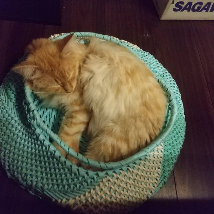 Ed4fc7d1 b6d7 42e9 96f4 c7e590b00a19 1627730185886