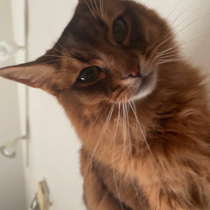 Ed4fd6bf f0ab 40f1 94b1 a2cb8f267506 1738420785763