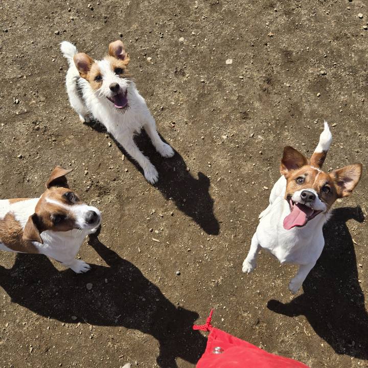 Ed502e6a 1cb3 47b2 8416 3152f95df0b5 1772887242277