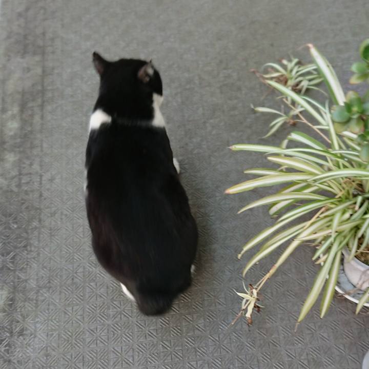 Ed503451 af72 4ce2 be09 7d46884f0e47 1554539144273